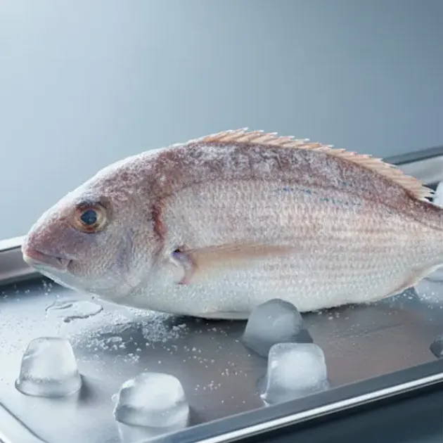 lithrini-katepsugmeno